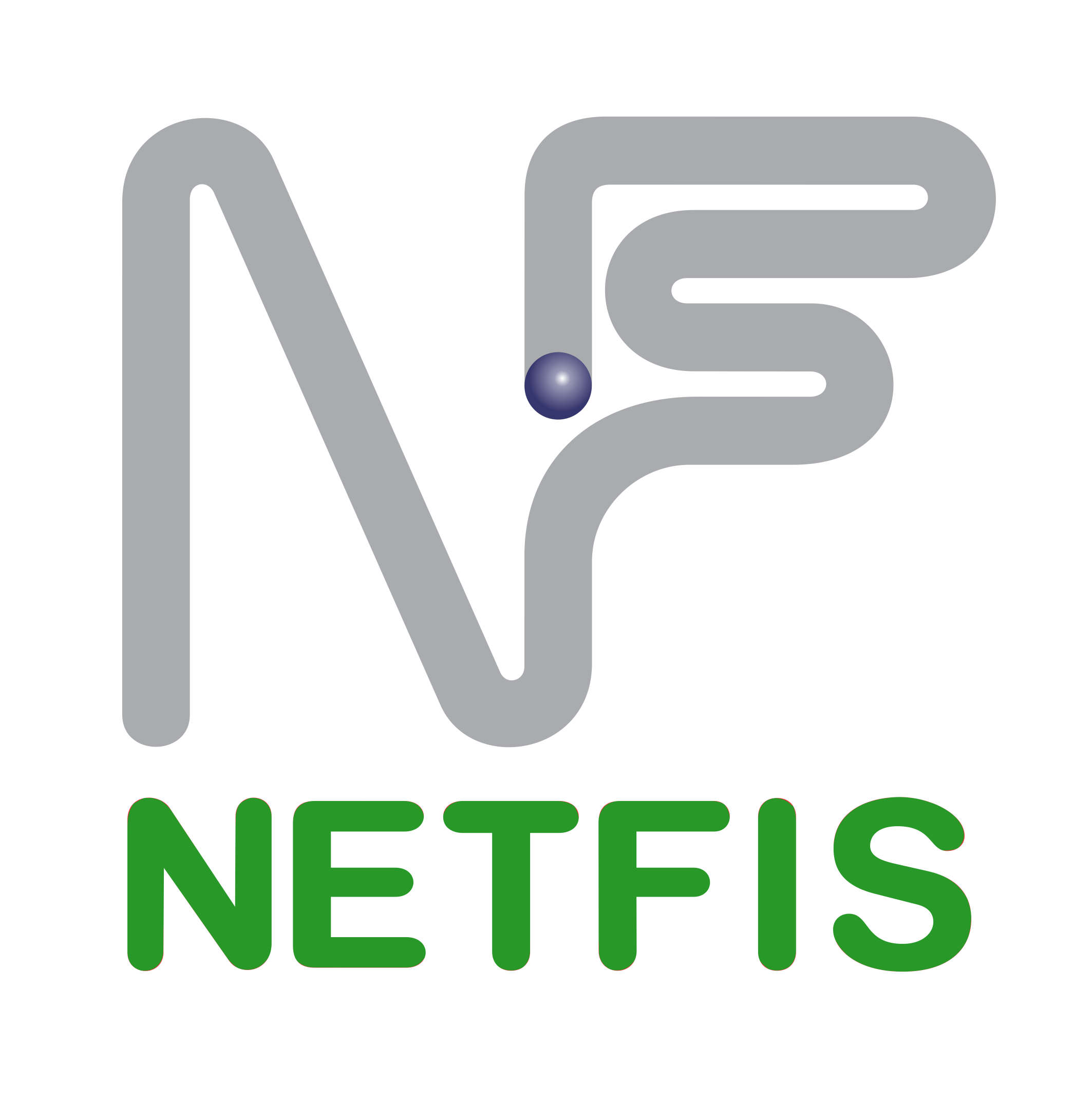 Netfis